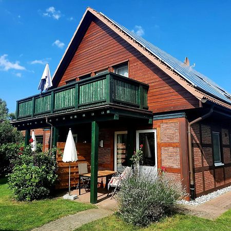 Ferienhaus Sasse Ferienwohnungen Mit Garten & Grill Molschow Exterior foto