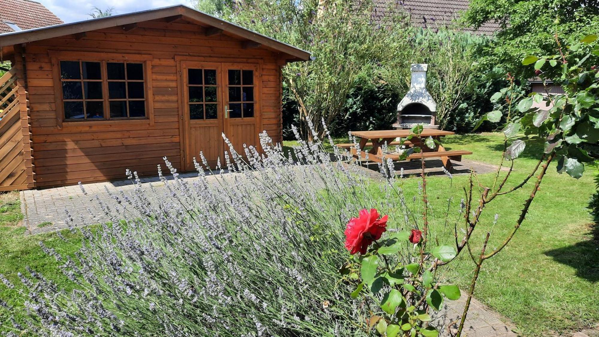 Ferienhaus Sasse Ferienwohnungen Mit Garten & Grill Molschow Exterior foto